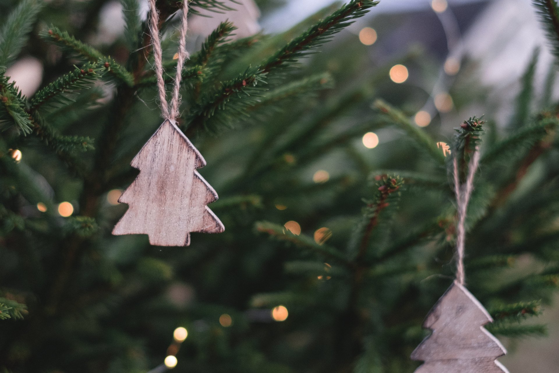 DMN: Under The Tree For 2019: Customer Experience and Beyond